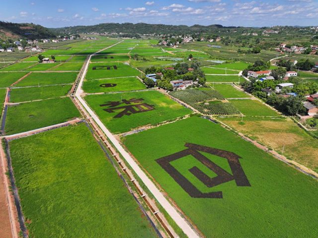 圖3 2024年1-6月，全區(qū)6個國省考核斷面水質優(yōu)良率100%，沱江干流持續(xù)保持為Ⅱ類水質。.jpg