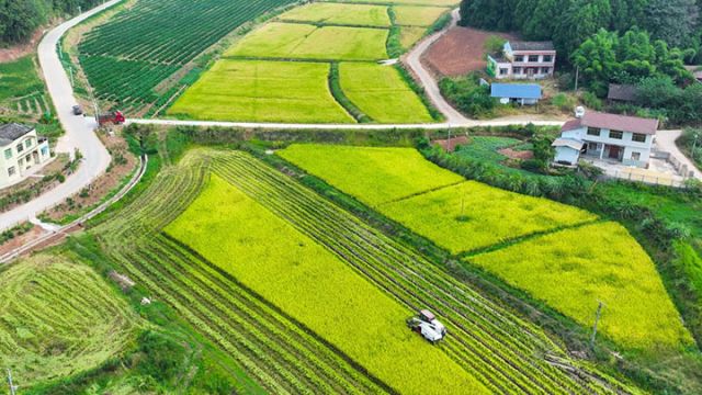 1725436169996547.jpg 圖2.jpg