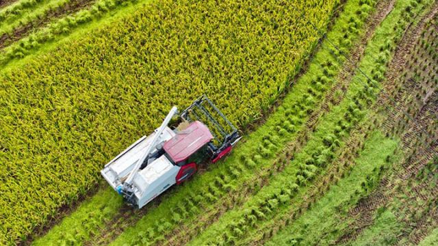 1725436183758537.jpg 圖3.jpg