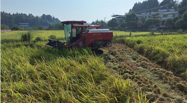 1725869727949151.jpg 圖1.jpg