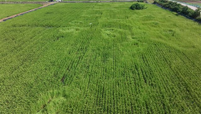 1725869732317747.jpg 圖2.jpg