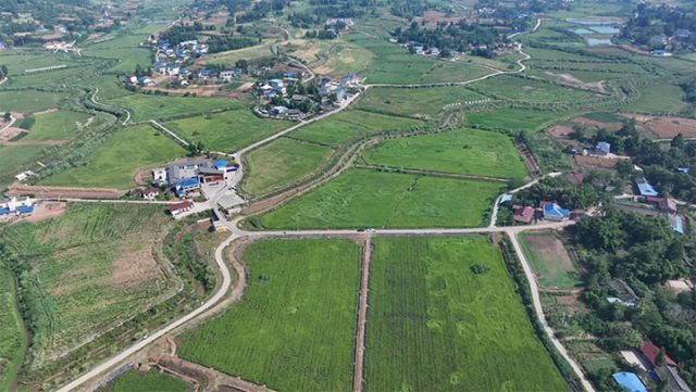 1725869736609331.jpg 圖3.jpg