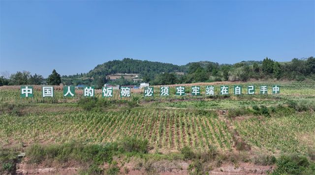 1725869742855027.jpg 圖4.jpg