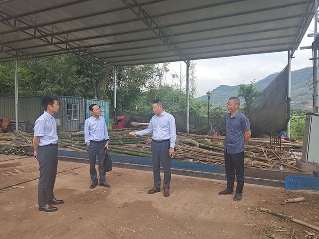 3瀘州農(nóng)商銀行黨委書記、董事長王勇走訪納溪新樂鎮(zhèn)竹料加工場.jpg