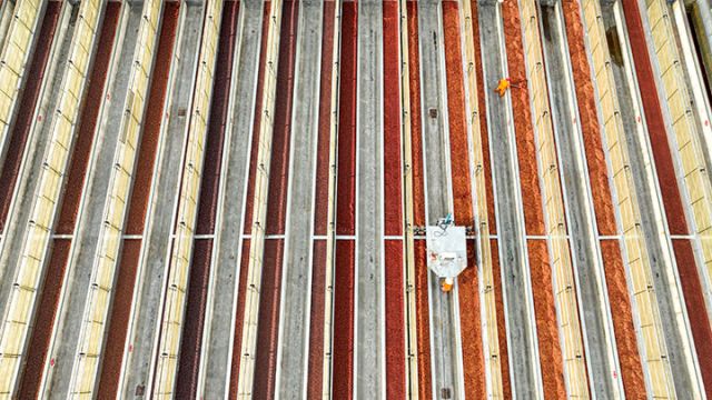 1726285870688684.jpg 圖1.jpg