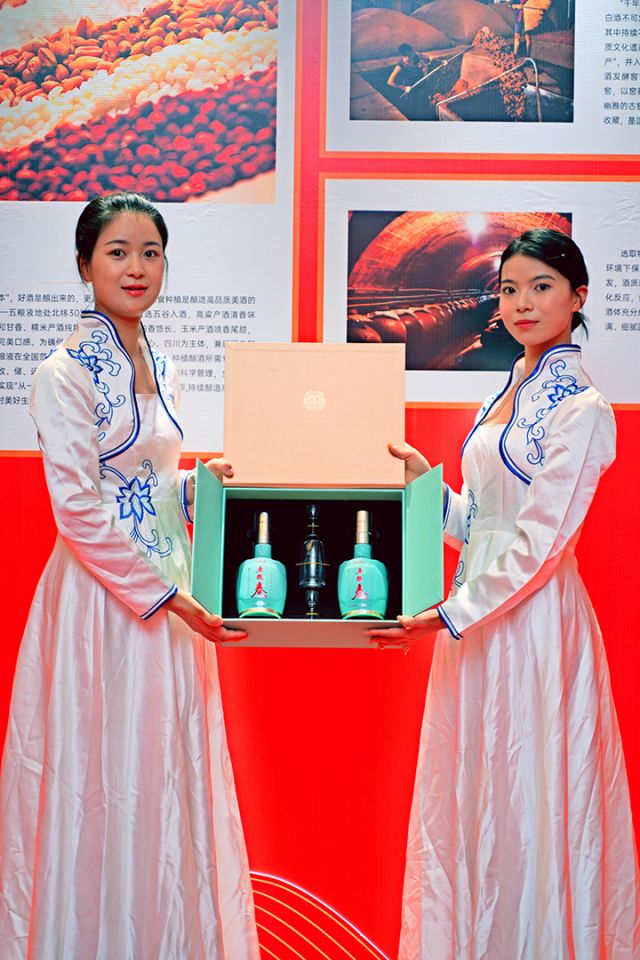 8 巴中市恩陽(yáng)區(qū)“風(fēng)云際會(huì)，薈萃名門”五糧液系列酒發(fā)布會(huì)現(xiàn)場(chǎng).jpg