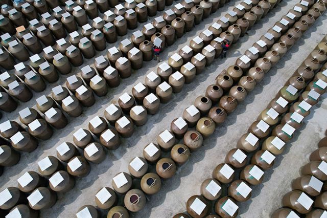 1729135195176542.jpg 圖1.jpg