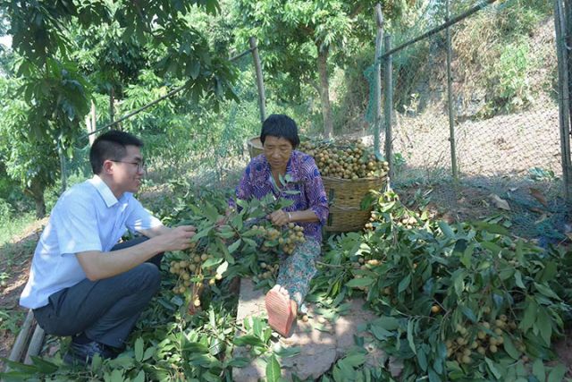 1729143075872678.jpg 921729140494_.pic.jpg