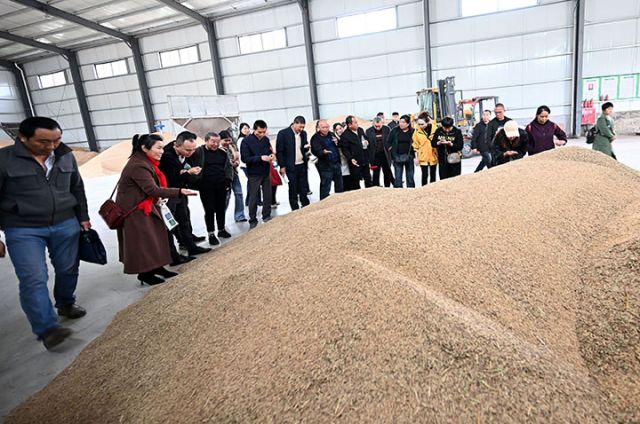 圖3  來(lái)自威遠(yuǎn)縣的新農(nóng)民現(xiàn)場(chǎng)了解糧油生產(chǎn)的收益情況.JPG