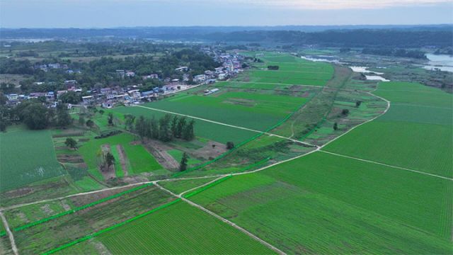 1733121771209935.jpg 1.jpg