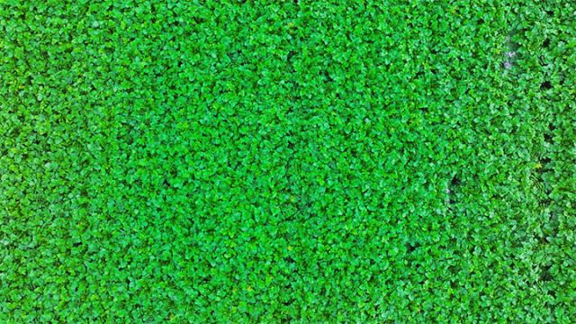 1733121779576982.jpg 2.jpg