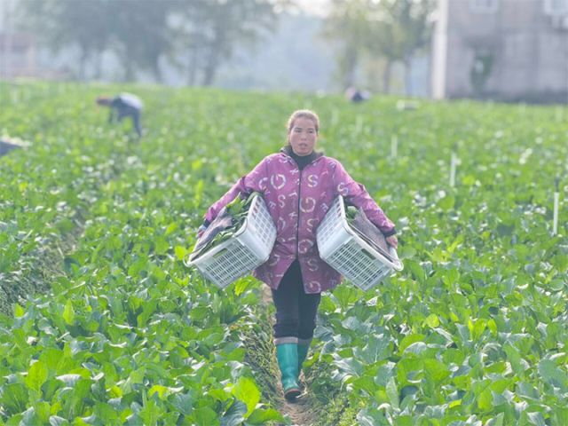 1733121786718577.jpg 3.jpg