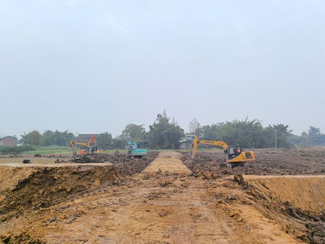 1735194662998338.jpg 1.jpg