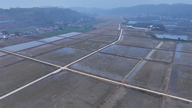 1735194798824336.jpg 3.jpg