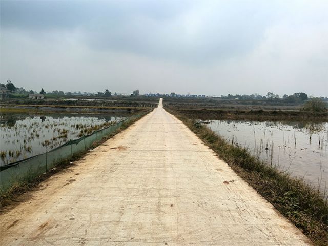 1735194809898400.jpg 4.jpg