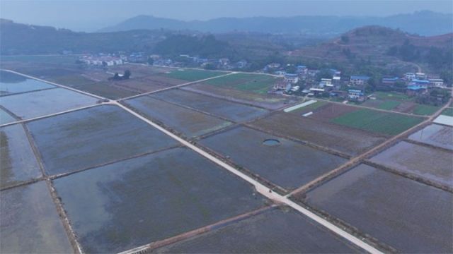 1735194815407417.jpg 5.jpg