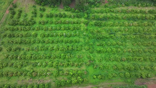 1736494945983438.jpg 1.jpg