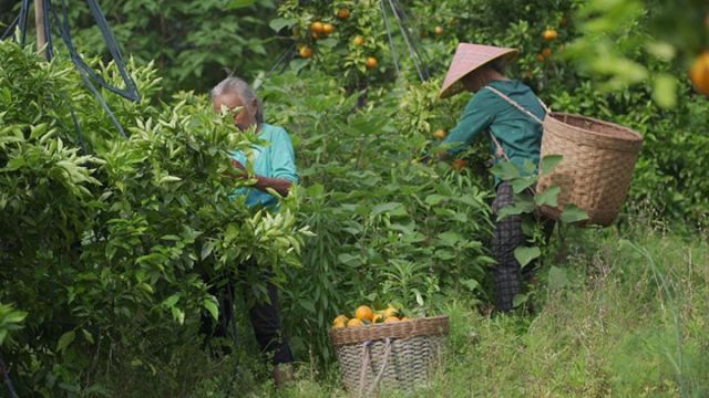 1736494953430421.jpg 2.jpg