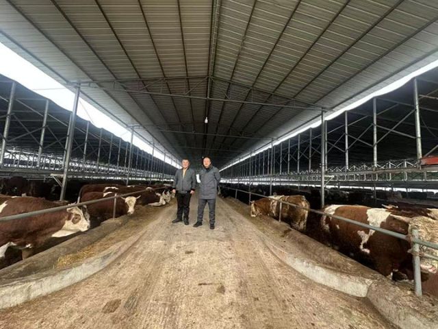 1739957526285705.jpg 30e0a49f67f2d65126c5e2351c3c025.jpg