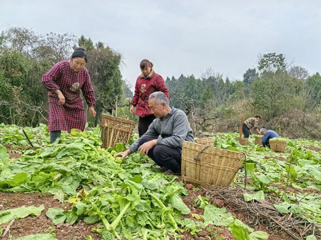 1740555746430824.jpg 1.jpg