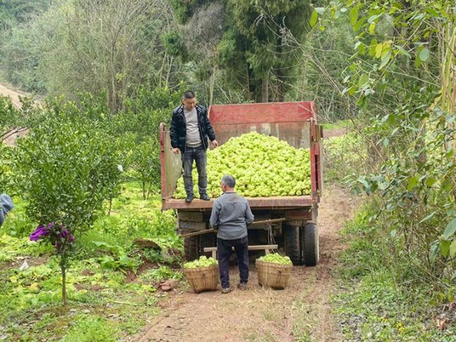 1740555752600988.jpg 2.jpg