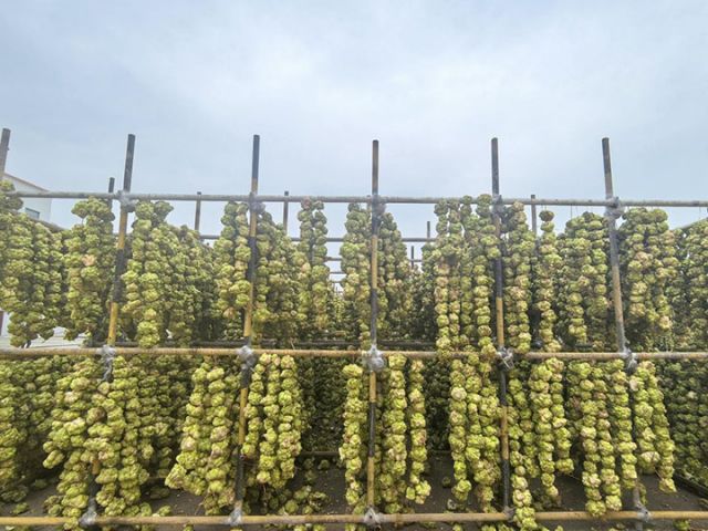 1740555757185282.jpg 3.jpg