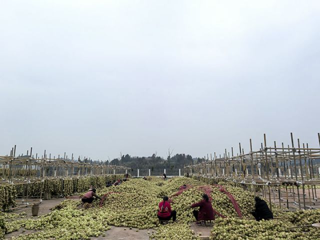 1740555762736096.jpg 4.jpg