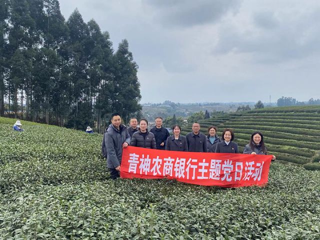 1741242443888538.jpg 1.jpg