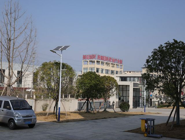 1 樂至縣西郊工業(yè)園區(qū)一隅  周淼葭攝.JPG