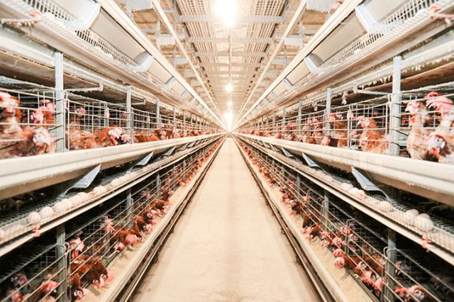 1741849860923944.jpg 圖2.jpg