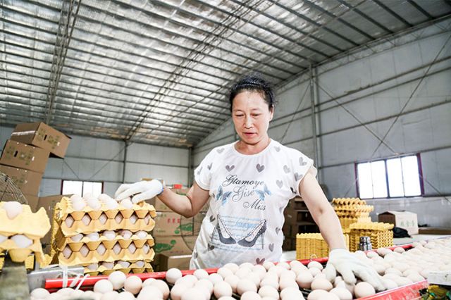 1741849866944061.jpg 圖3.jpg