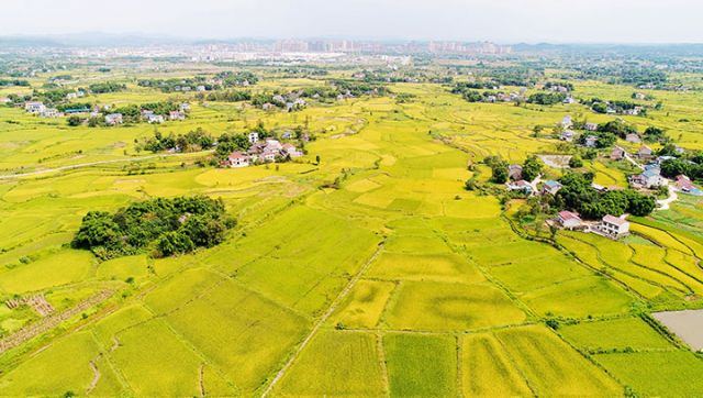 1741849874808536.jpg 圖4.jpg