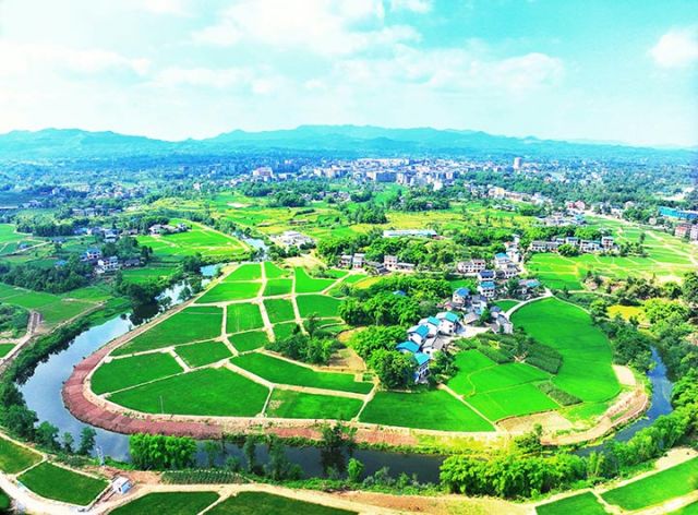 1741849879407318.jpg 圖5.jpg