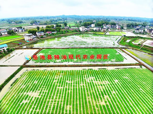 1741849886555741.jpg 圖6.jpg