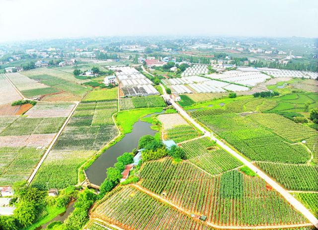 1741849896128715.jpg 圖7.jpg