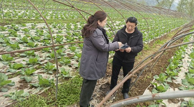 1742261797353835.jpg 3.jpg