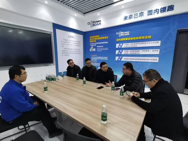 1742365056723004.jpg 1.jpg