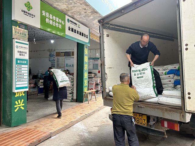 圖2  肥料下擺入庫(kù)忙。安岳縣供銷(xiāo)社  供圖.jpg