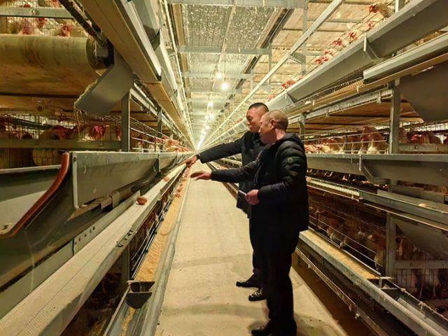 1742453563884257.jpg 44ef2d8fff484d81211f7207eed6986.jpg