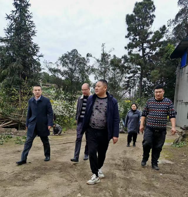 1742787919895207.jpg 2.jpg