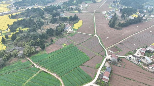 圖3  連片土地等待耕作 解小鋒攝.jpg