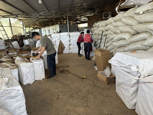 1743047076400652.jpg 1.jpg