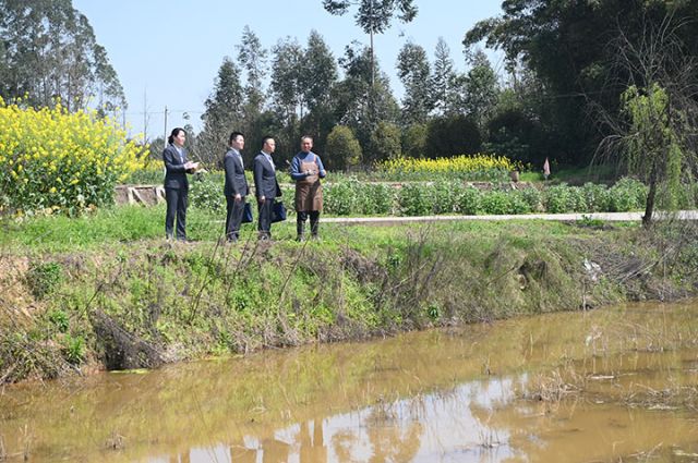 1743047236746396.jpg 2.jpg