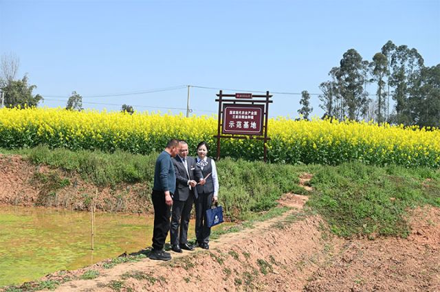 1743047251401182.jpg 4 拷貝.jpg