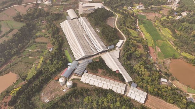 圖1  養(yǎng)殖場鳥瞰圖 易奎西攝.jpg