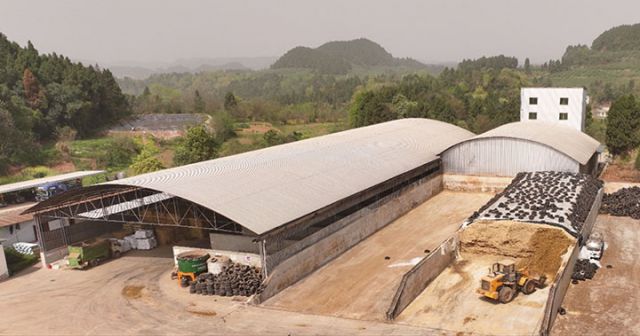 圖3  奶牛飼料儲存?zhèn)} 易奎西攝.jpg