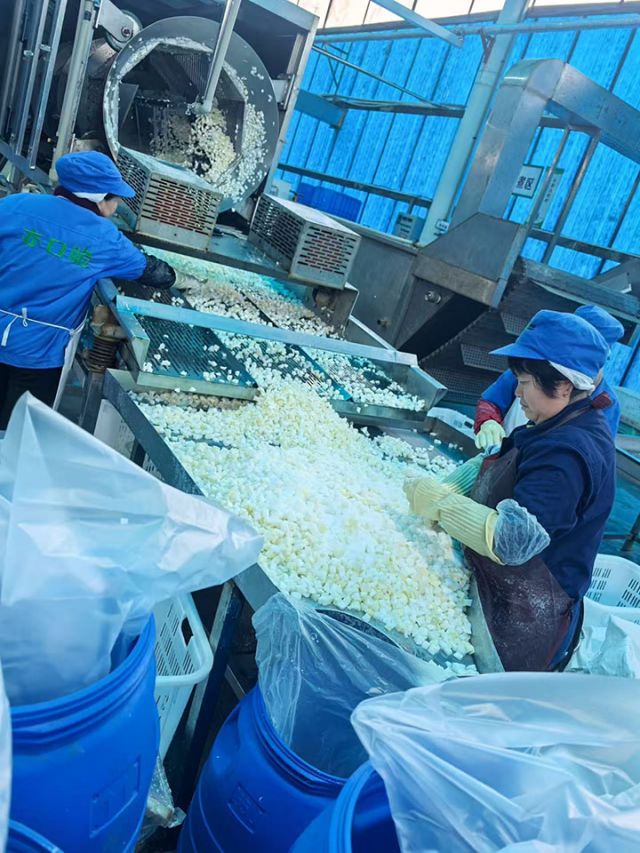 1743565370901723.jpg 12e55361fd85841b44b6e0fc41e2db9.jpg