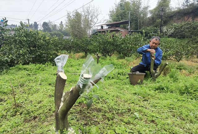 1744094077147657.jpg 圖1.jpg