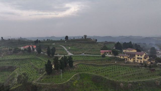 1744094086151856.jpg 圖2.jpg