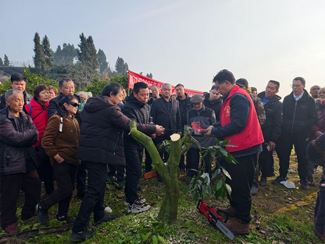 1744094093665646.jpg 3.jpg